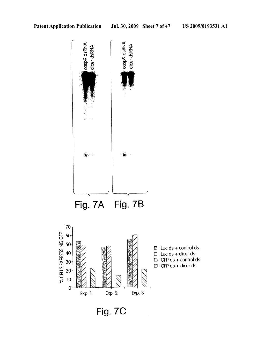 Methods and compositions for RNA Interference - diagram, schematic, and image 08