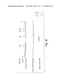 Methods and compositions for RNA Interference diagram and image