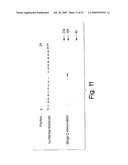 Methods and compositions for RNA Interference diagram and image