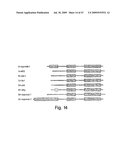 Methods and compositions for RNA Interference diagram and image