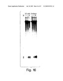 Methods and compositions for RNA Interference diagram and image