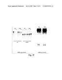 Methods and compositions for RNA Interference diagram and image