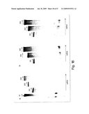 Methods and compositions for RNA Interference diagram and image