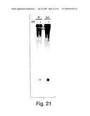 Methods and compositions for RNA Interference diagram and image