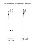 Methods and compositions for RNA Interference diagram and image