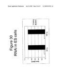 Methods and compositions for RNA Interference diagram and image