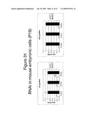 Methods and compositions for RNA Interference diagram and image