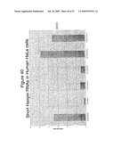 Methods and compositions for RNA Interference diagram and image