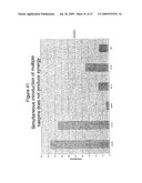 Methods and compositions for RNA Interference diagram and image