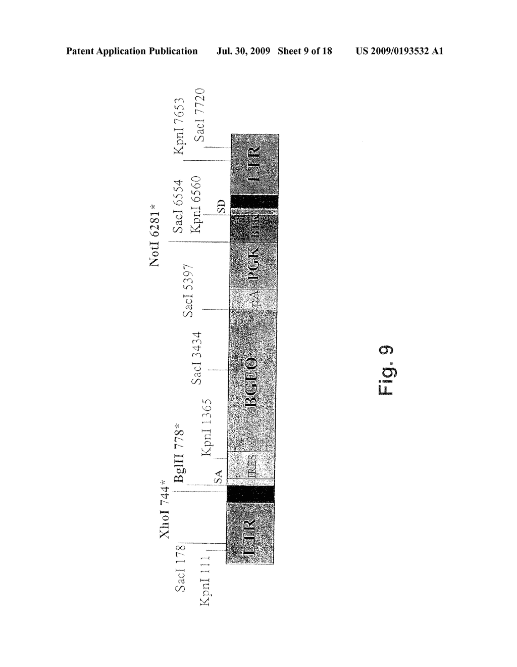 Genetically Engineered and Phenotyped Mice and Stem Cell Clones for Producing the Same - diagram, schematic, and image 10