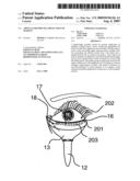 Article for precise application of makeup diagram and image