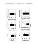 CD38 AND OBESITY diagram and image