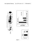 CD38 AND OBESITY diagram and image