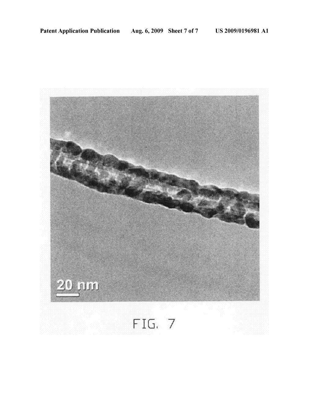 Method for making carbon nanotube composite structure - diagram, schematic, and image 08