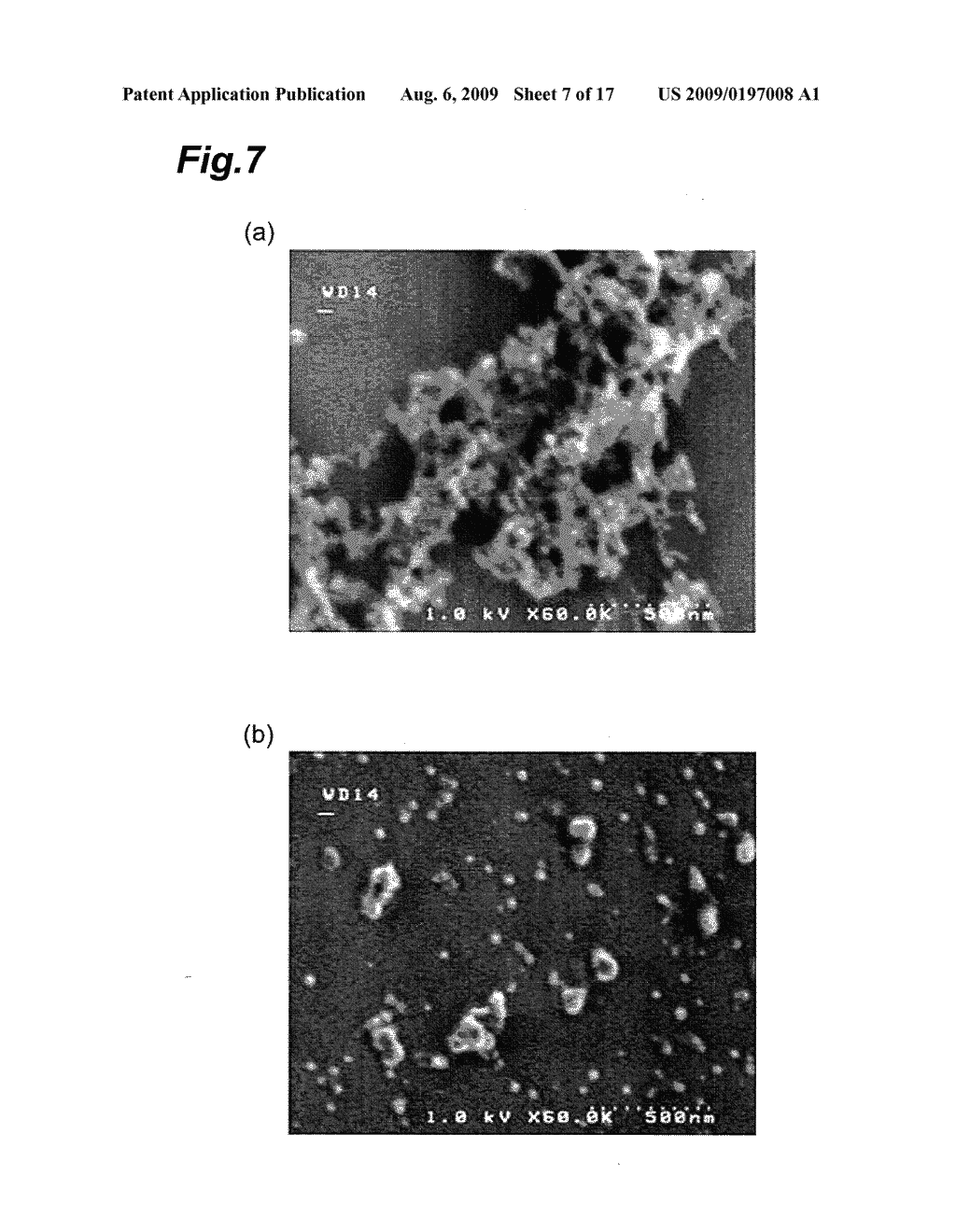 ELECTROSTATIC SPRAY NOZZLE, AND NANOMATERIAL IMMOBILIZATION APPARATUS AND IMMOBILIZATION METHOD USING THE SAME - diagram, schematic, and image 08