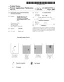 DIAGNOSTIC ASSAY FOR SPONGIFORM ENCEPHALOPATHIES diagram and image