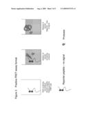 DIAGNOSTIC ASSAY FOR SPONGIFORM ENCEPHALOPATHIES diagram and image