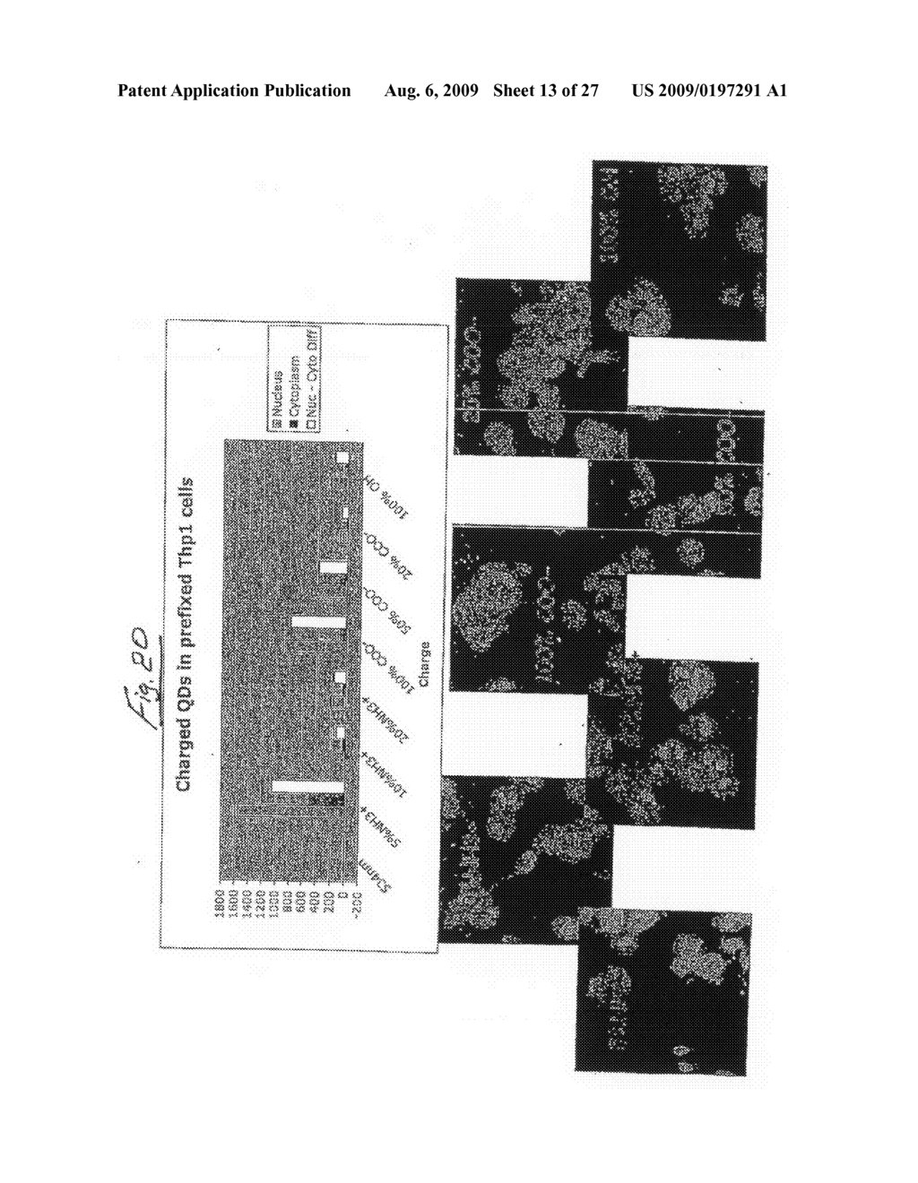 Assays Using Nanoparticles - diagram, schematic, and image 14