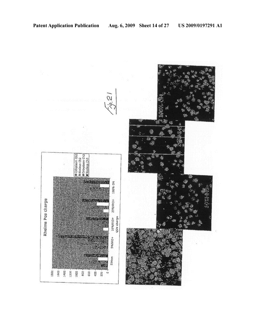 Assays Using Nanoparticles - diagram, schematic, and image 15