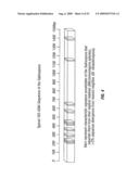 BIOSYNTHESES OF SALINOSPORAMIDE A AND ITS ANALOGS AND RELATED METHODS OF MAKING SALINOSPORAMIDE A AND ITS ANALOGS diagram and image