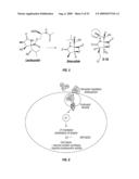 BIOSYNTHESES OF SALINOSPORAMIDE A AND ITS ANALOGS AND RELATED METHODS OF MAKING SALINOSPORAMIDE A AND ITS ANALOGS diagram and image