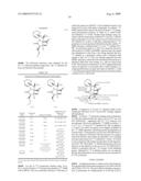 BIOSYNTHESES OF SALINOSPORAMIDE A AND ITS ANALOGS AND RELATED METHODS OF MAKING SALINOSPORAMIDE A AND ITS ANALOGS diagram and image