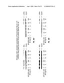 BIOSYNTHESES OF SALINOSPORAMIDE A AND ITS ANALOGS AND RELATED METHODS OF MAKING SALINOSPORAMIDE A AND ITS ANALOGS diagram and image