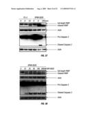 BIOSYNTHESES OF SALINOSPORAMIDE A AND ITS ANALOGS AND RELATED METHODS OF MAKING SALINOSPORAMIDE A AND ITS ANALOGS diagram and image