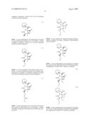 BIOSYNTHESES OF SALINOSPORAMIDE A AND ITS ANALOGS AND RELATED METHODS OF MAKING SALINOSPORAMIDE A AND ITS ANALOGS diagram and image