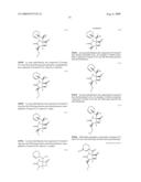 BIOSYNTHESES OF SALINOSPORAMIDE A AND ITS ANALOGS AND RELATED METHODS OF MAKING SALINOSPORAMIDE A AND ITS ANALOGS diagram and image