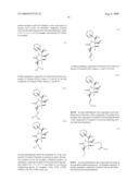 BIOSYNTHESES OF SALINOSPORAMIDE A AND ITS ANALOGS AND RELATED METHODS OF MAKING SALINOSPORAMIDE A AND ITS ANALOGS diagram and image