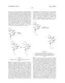 BIOSYNTHESES OF SALINOSPORAMIDE A AND ITS ANALOGS AND RELATED METHODS OF MAKING SALINOSPORAMIDE A AND ITS ANALOGS diagram and image