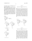 BIOSYNTHESES OF SALINOSPORAMIDE A AND ITS ANALOGS AND RELATED METHODS OF MAKING SALINOSPORAMIDE A AND ITS ANALOGS diagram and image