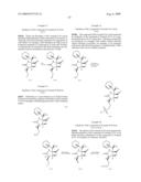 BIOSYNTHESES OF SALINOSPORAMIDE A AND ITS ANALOGS AND RELATED METHODS OF MAKING SALINOSPORAMIDE A AND ITS ANALOGS diagram and image