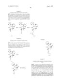 BIOSYNTHESES OF SALINOSPORAMIDE A AND ITS ANALOGS AND RELATED METHODS OF MAKING SALINOSPORAMIDE A AND ITS ANALOGS diagram and image