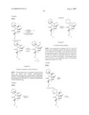 BIOSYNTHESES OF SALINOSPORAMIDE A AND ITS ANALOGS AND RELATED METHODS OF MAKING SALINOSPORAMIDE A AND ITS ANALOGS diagram and image