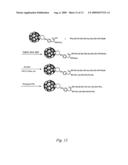 FULLERENE-BASED AMINO ACIDS diagram and image