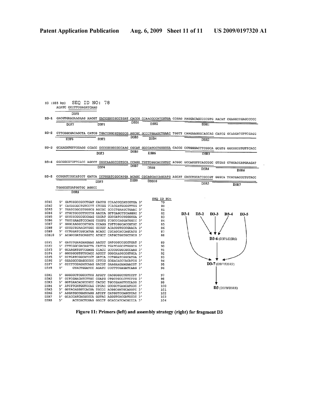 ANCESTRAL DENGUE VIRUS ENVELOPE PROTEIN - diagram, schematic, and image 12