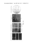 Compartmentalised combinatorial chemistry by microfluidic control diagram and image