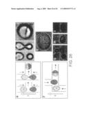 Compartmentalised combinatorial chemistry by microfluidic control diagram and image