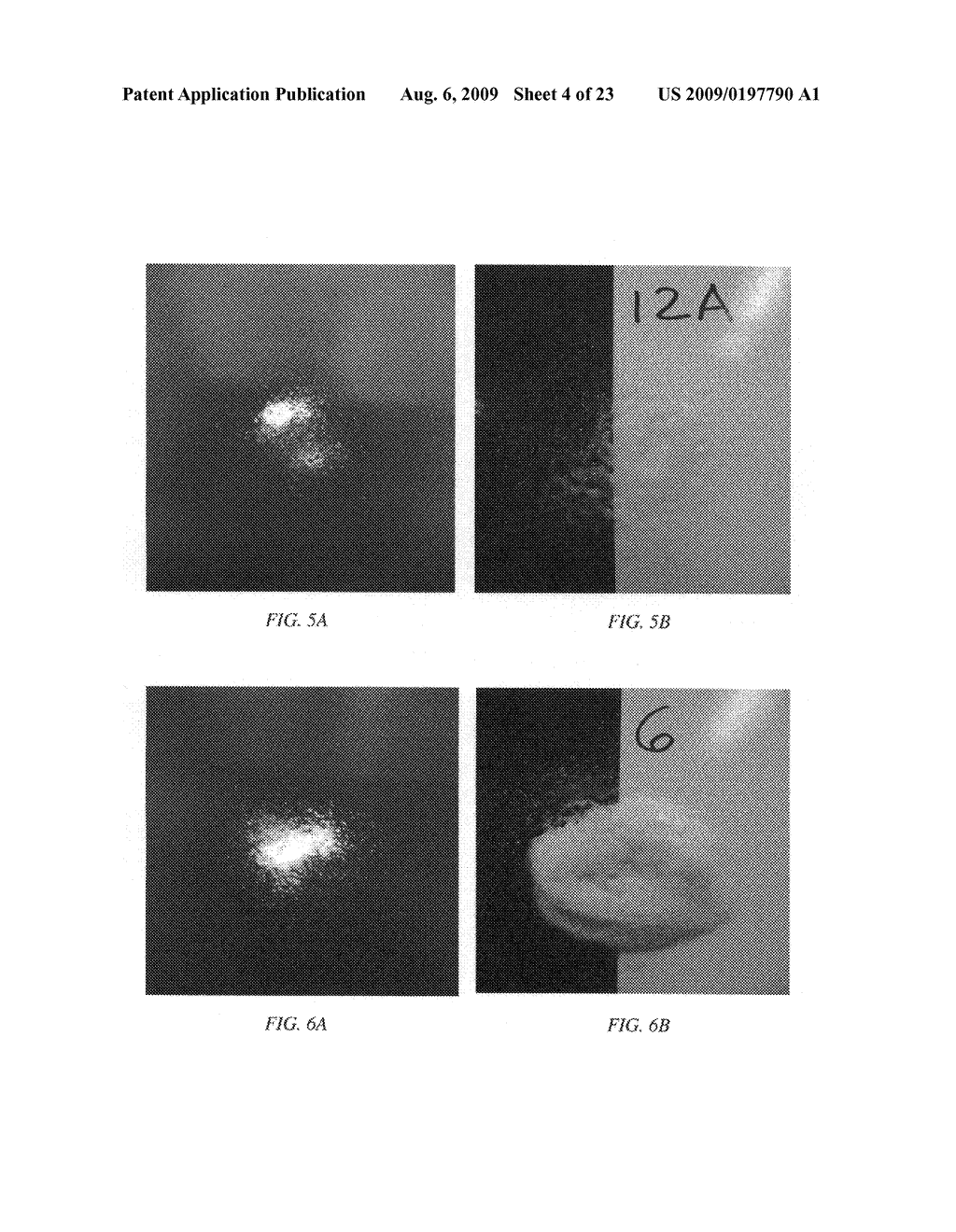 Drip resistant cleaning compositions - diagram, schematic, and image 05