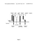 Methods of Diagnosing and Treating an Inflammatory Response diagram and image