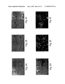 METHODS FOR PREPARING PURIFIED LIPOTIDES diagram and image