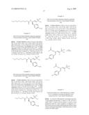 VINYL PHOSPHONATE LYSOPHOSPHATIDIC ACID RECEPTOR ANTAGONISTS diagram and image