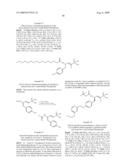 VINYL PHOSPHONATE LYSOPHOSPHATIDIC ACID RECEPTOR ANTAGONISTS diagram and image