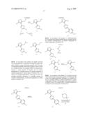 ARYL-ISOXAZOLO-4-YL-OXADIAZOLE DERIVATIVES diagram and image