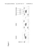 APPARATUS AND METHOD FOR ELUCIDATING REACTION DYNAMICS OF PHOTOREACTIVE COMPOUNDS FROM OPTICAL SIGNALS AFFECTED BY AN EXTERNAL MAGNETIC FIELD diagram and image