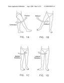 METHOD AND APPARATUS FOR RE-ATTACHING THE LABRUM OF A HIP JOINT diagram and image