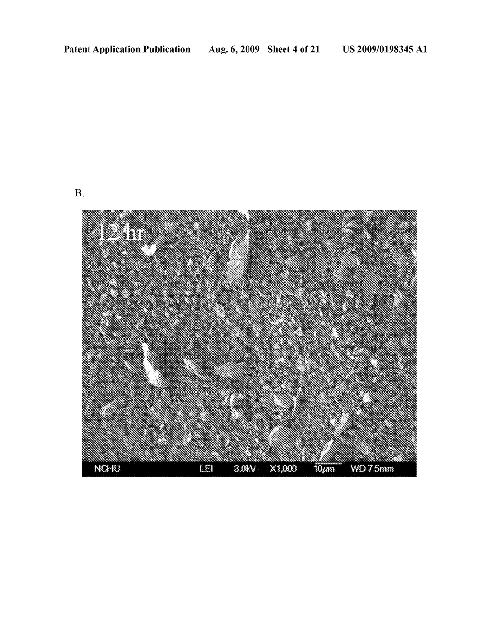 CALCIUM SILICATE-BASED COMPOSITE CEMENT AND MANUFACTURING METHOD THEREOF - diagram, schematic, and image 05