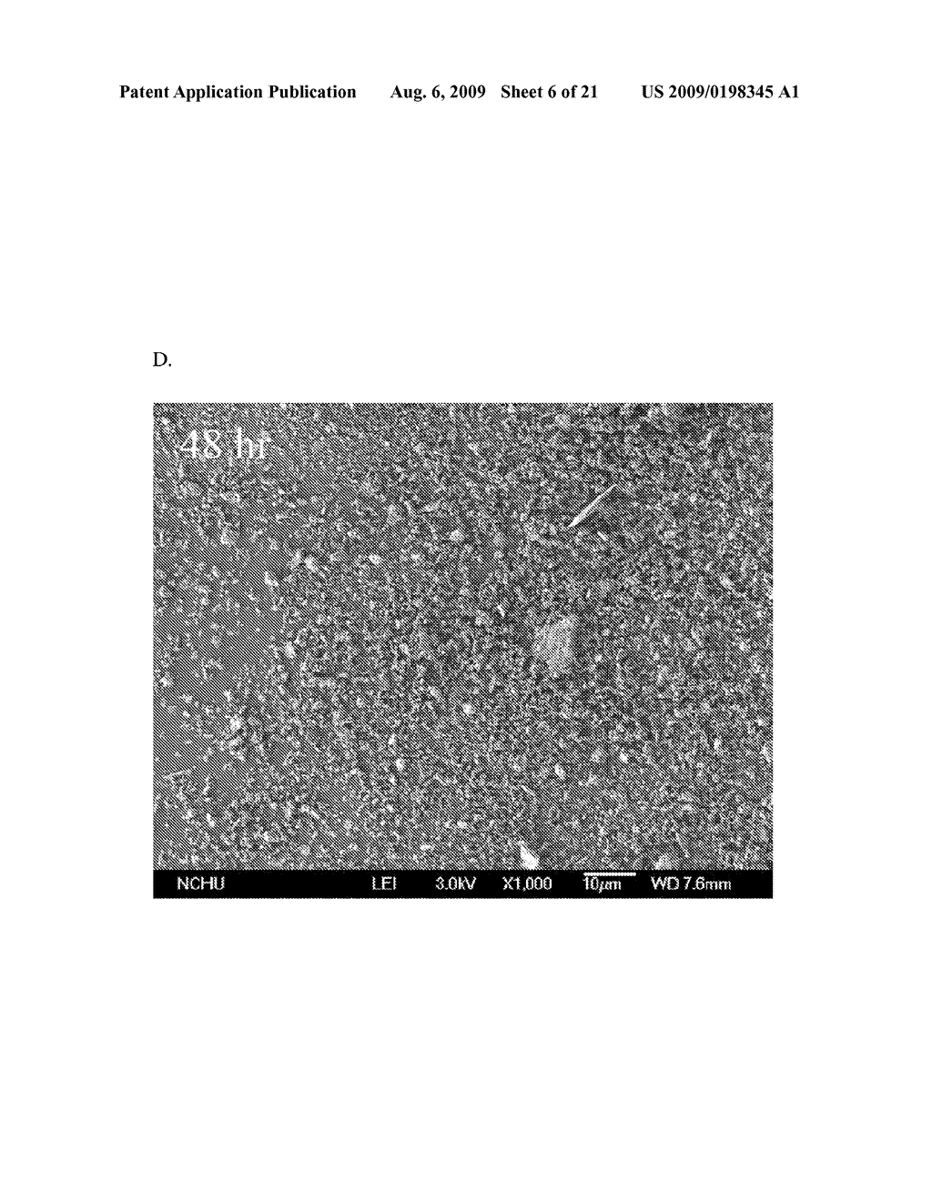 CALCIUM SILICATE-BASED COMPOSITE CEMENT AND MANUFACTURING METHOD THEREOF - diagram, schematic, and image 07